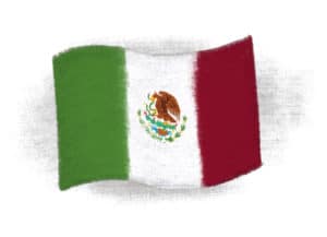 Flag-MX